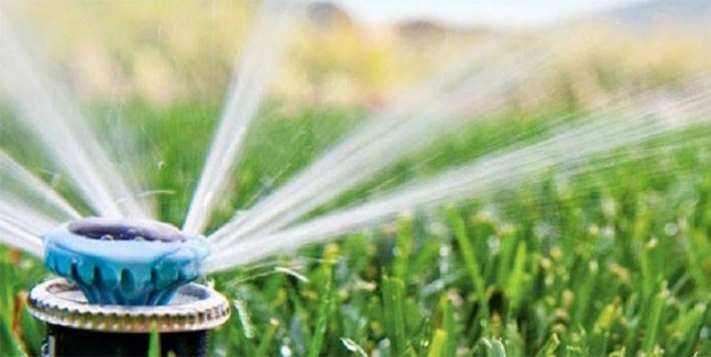 El Ayuntamiento de Jaén utiliza agua potable para regar el césped a pesar de la sequia