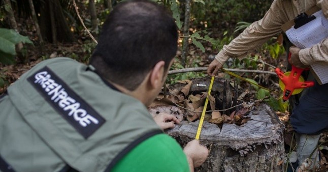 Greenpeace recuerda la urgencia de defender la Amazonía ante las amenazas del Gobierno de Bolsonaro