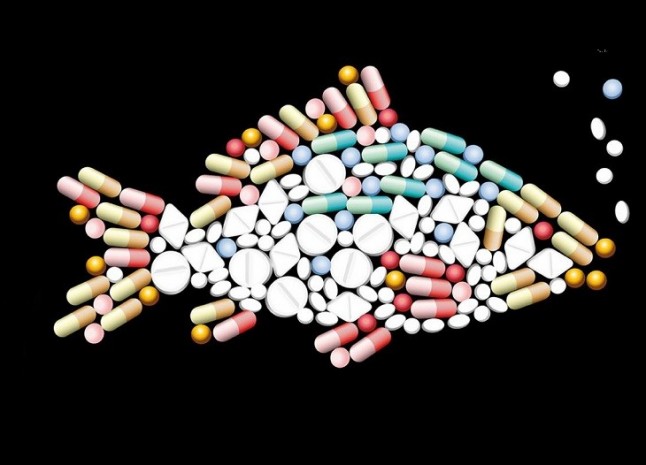 Impacto de los estrógenos en el medio ambiente