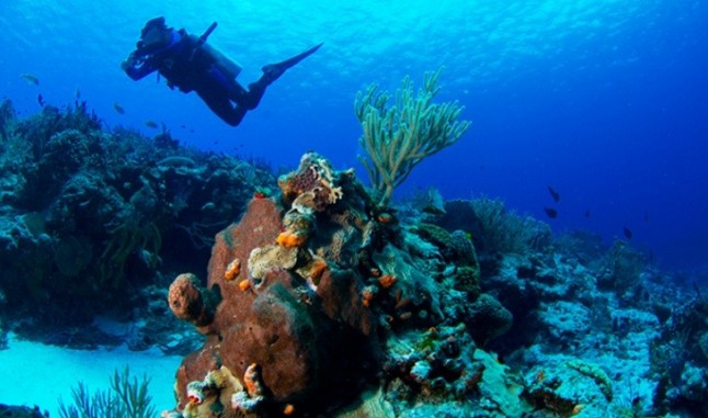 El turismo asociado a los arrecifes reporta 6.900 millones de beneficios en el Caribe