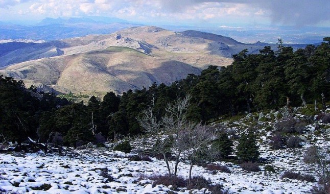 Aprobada la propuesta definitiva para declarar la Sierra de las Nieves como Parque Nacional