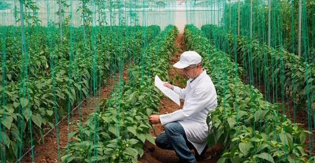 Unidad Agrícola de BASF