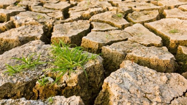 WWF considera que la lucha contra el cambio climático solo será posible con apoyo ciudadano