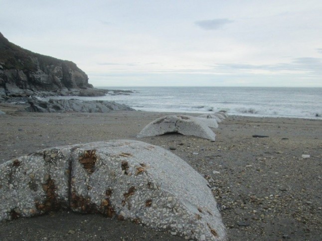 Los residuos tóxicos asturianos acaban vertidos en Galicia en el campo
