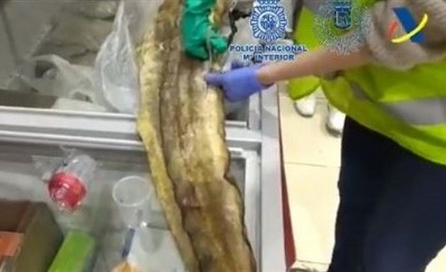 Investigados varios comercios de Usera por tráfico ilegal de ánguilas