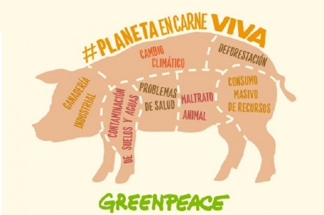 La ganadería industrial de Catalunya genera el 31% de las emisiones estatales de amoníaco