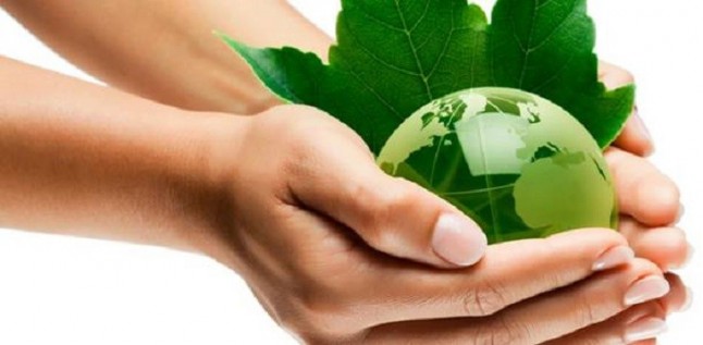 Postgrado en Gestión