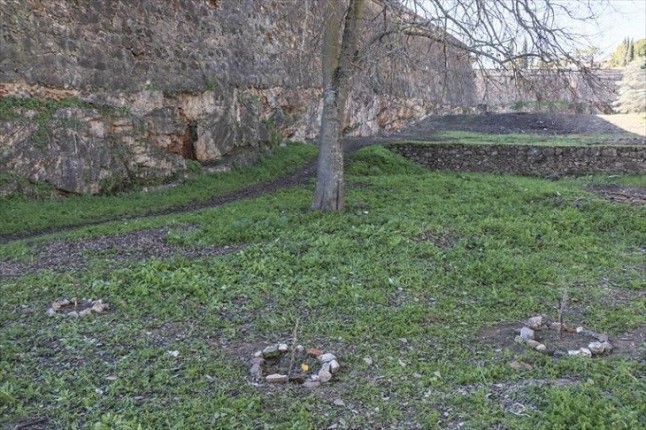 Polémica a cuenta de los árboles plantados por Ecologistas en Acción junto a la muralla de Badajoz
