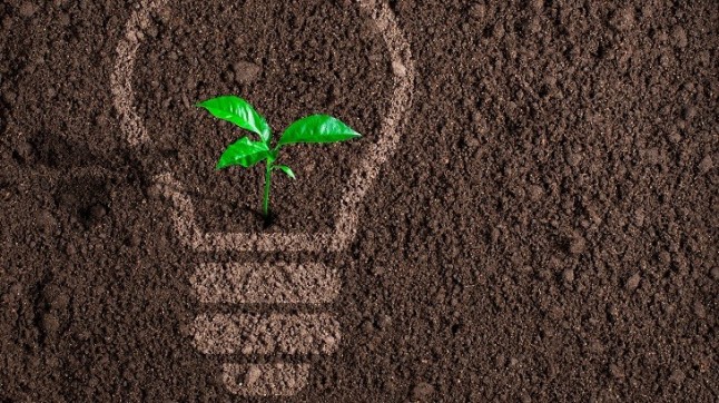 Máster en Eficiencia Energética y Sostenibilidad de la Universitat de Barcelona