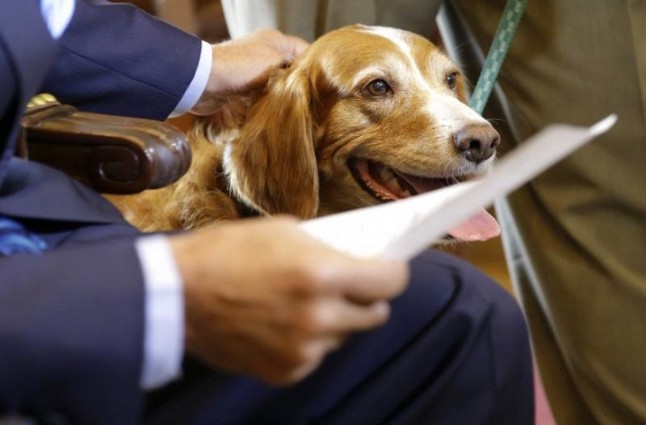 Parlamentarios premian un centro ecuatoriano para el estudio antrozoológico de animales y humanos
