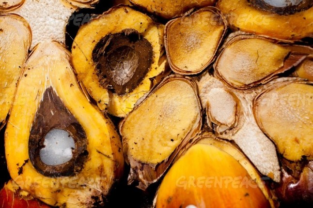 Wilmar International publica un plan de acción detallado para mapear y monitorizar a sus proveedores de aceite de palma