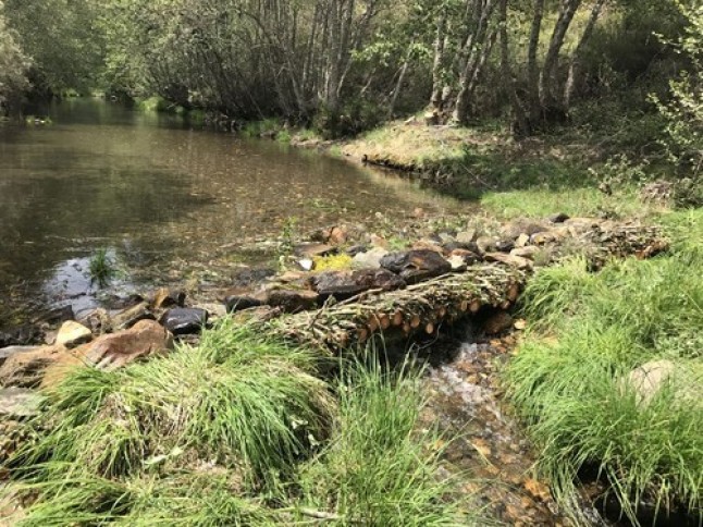 Proyecto Life Desmania: cinco años promoviendo la conservación del desmán ibérico