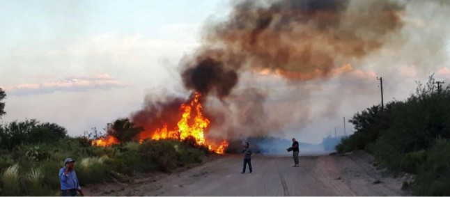 Argentina: Se quemaron más de 280 mil hectáreas en La Pampa