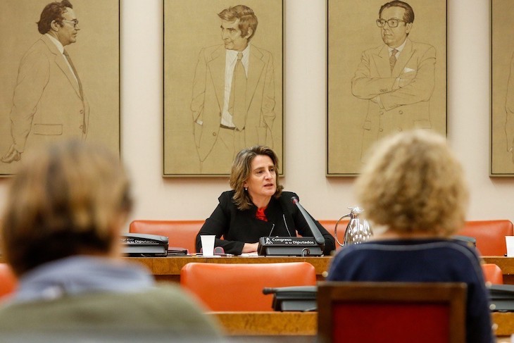 España defiende el papel prioritario de la transición ecológica en el proceso de reconstrucción