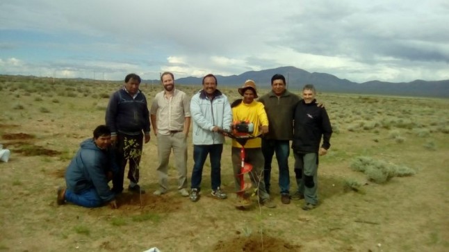 Argentina: Plantan cortinas forestales contra la degradación del suelo en la Puna