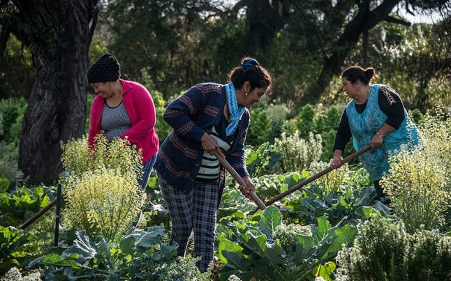Argentina: Santiago del Estero aprobó el primer plan de manejo comunitario en bosques nativos