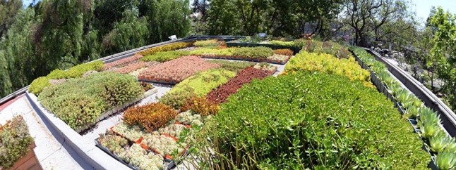 Conoce el Programa Universitario de Estrategias para la Sustentabilidad de la UNAM