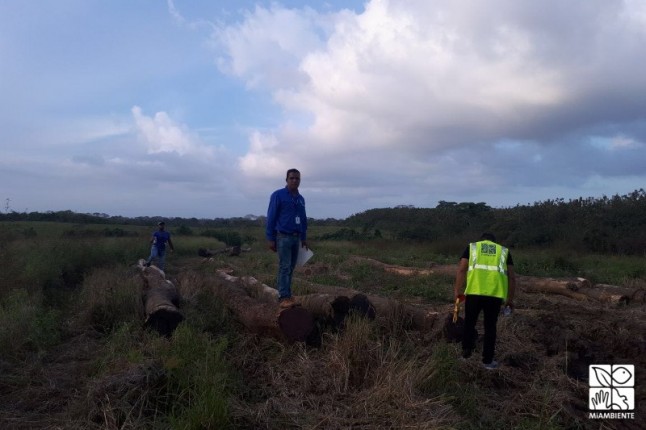 MiAMBIENTE mantiene su pie de fuerza en Operativo Forestal