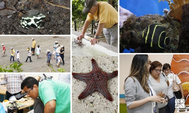 MiAMBIENTE y STRI presentarán proyectos de educación ambiental y de conservación marina por B./ 2.4 millones
