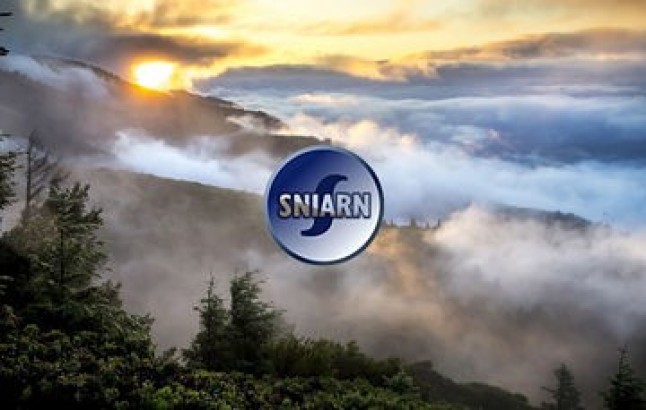 Sistema Nacional de Información Ambiental y de Recursos Naturales