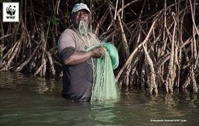 La cogestión mejora las condiciones de vida de los pescadores en Senegal