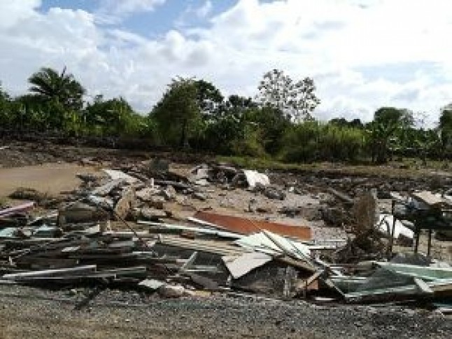 Crecimiento urbano desmedido pasa cara factura al ambiente