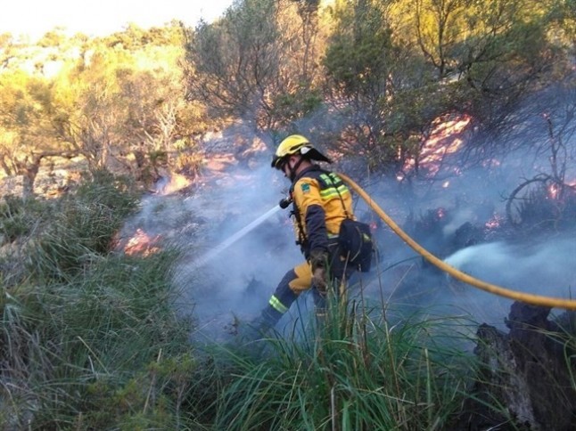 Extinguido un incendio forestal en Pollença que ha quemado 0