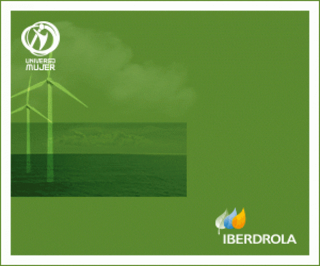 Iberdrola impulsa su apuesta por las renovables en Brasil con la adjudicación de 295 MW eólicos