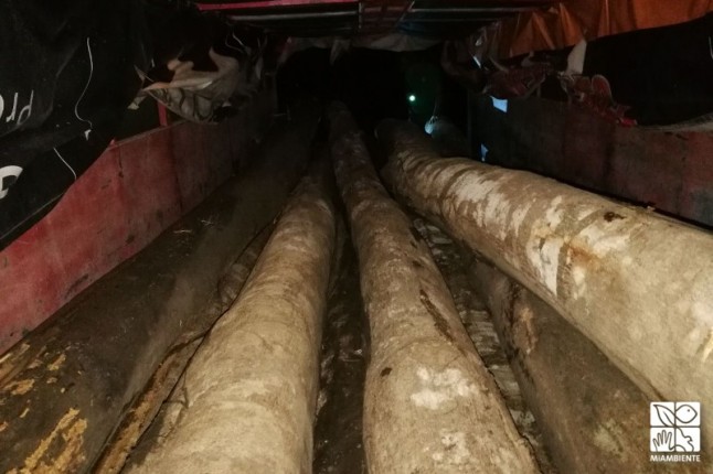 MiAMBIENTE retiene 10 tucas de especie bálsamo en comunidad de Palmira