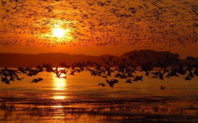 Medio Ambiente celebra el Día Mundial de los Humedales