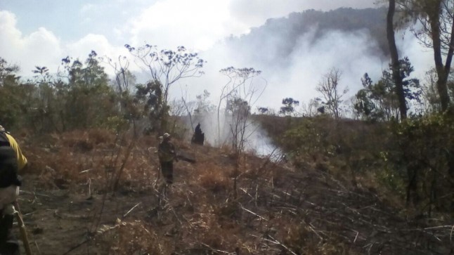 Vandalismo y quemas provocaron incendios forestales en 2017