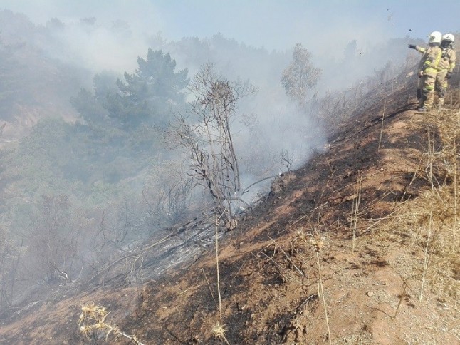 Persiste el incendio forestal en Valdáliga