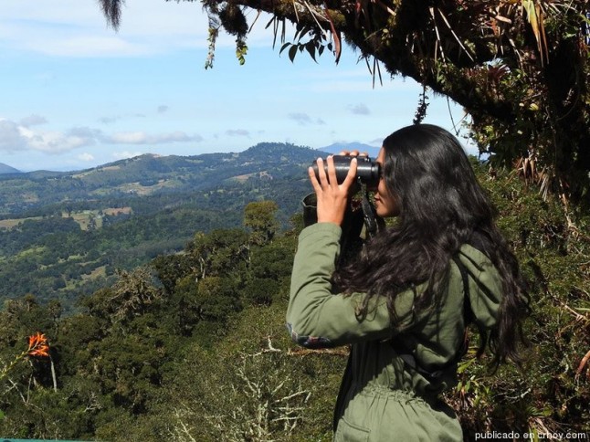 Guía turrialbeña gana reconocimiento como “Pajarera del año”