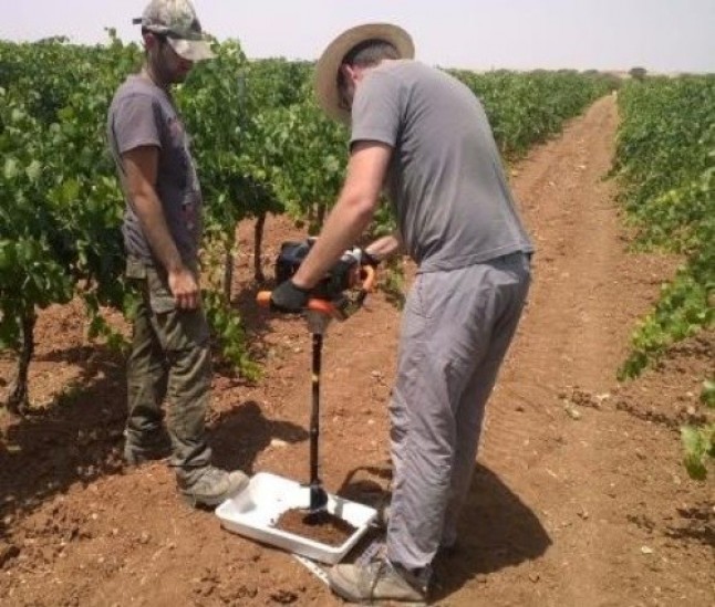 La producción de microalgas para uso agrícola mejora con nuevos fotobiorreactores experimentales