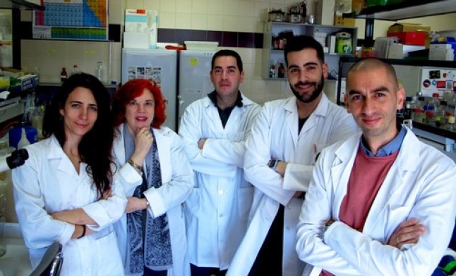 Un nuevo biofertilizante mejora la producción y calidad de las espinacas