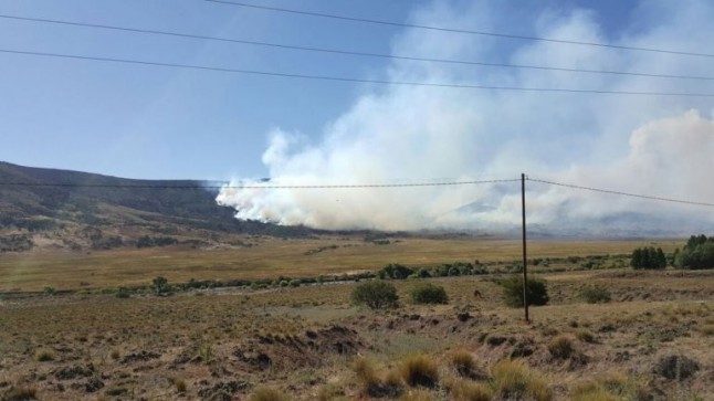 Argentina: Un incendio arrasa con el bosque nativo de la cordillera neuquina