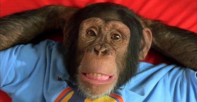 Utilizar primates en películas y series dice mucho de la peor versión del ser humano