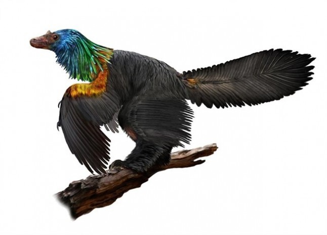 Conoce al dinosaurio de plumas arcoiris