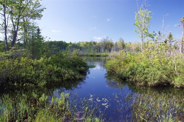 Norteamérica y Europa han pasado la década más cálida en 11.000 años