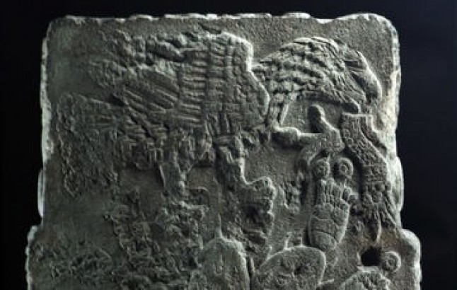 Escudo nacional. Flora