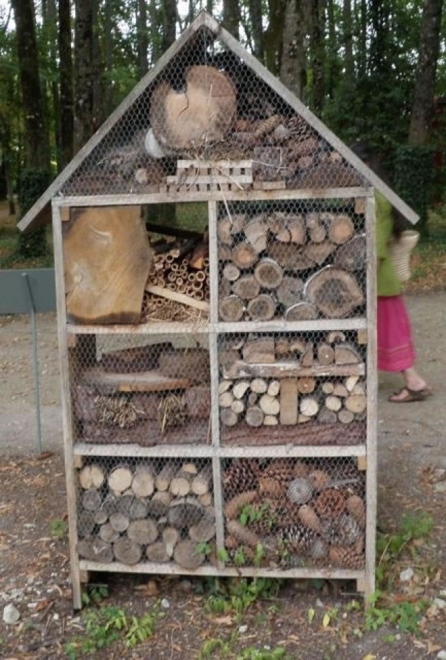 Hoteles de insectos en Traspinedo