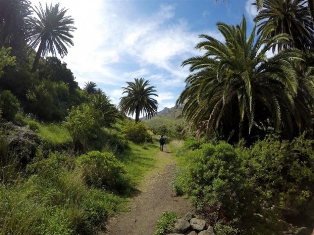 Acondicionamiento y mejoras en el Parque Rural de Anaga