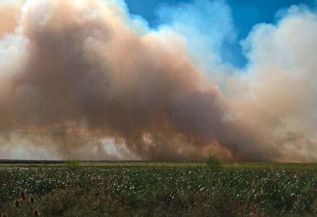 Buenos Aires: Más de mil hectáreas se incendian en la reserva de Punta Lara