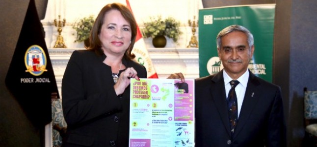 Ministerio del Ambiente y Poder Judicial sostienen reunión de trabajo para tomar acciones frente a delitos ambientales