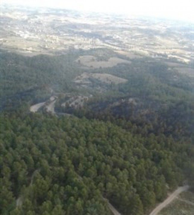 Olona sostiene que los incendios de Valderrobres y Torre la Ribera son intencionados y "eso es lo novedoso"