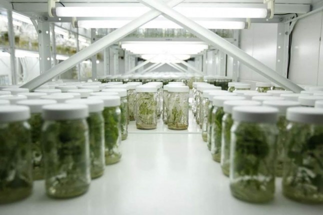 La enorme importancia del Banco de Germoplasma Vegetal Andaluz