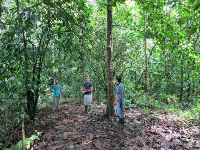 Vecinos de Osa logran proteger sus áreas de conservación