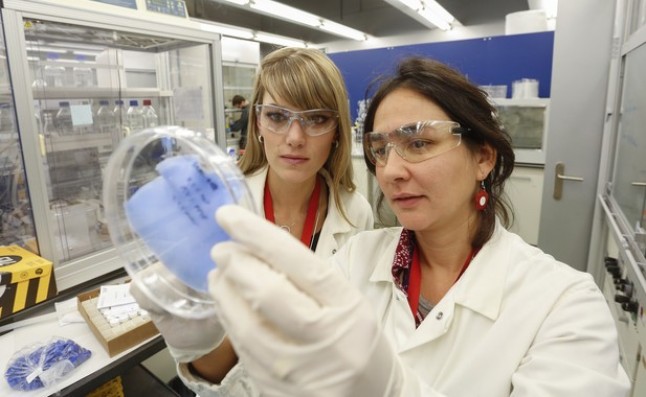 Membranas que ‘atrapan’ dióxido de carbono