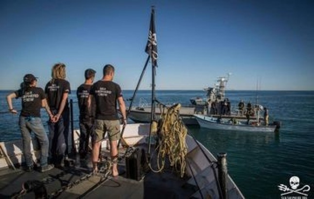 Alianzas estratégicas en la conservación de la vaquita marina