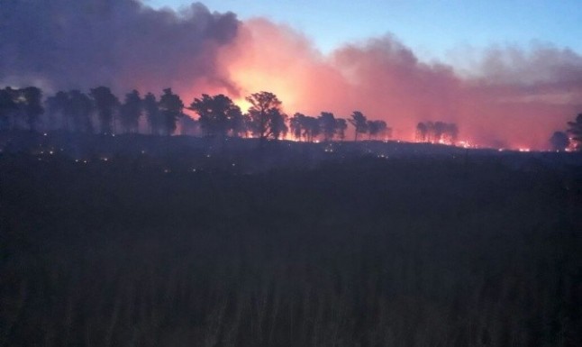 Argentina: También hay incendios en territorio bonaerense